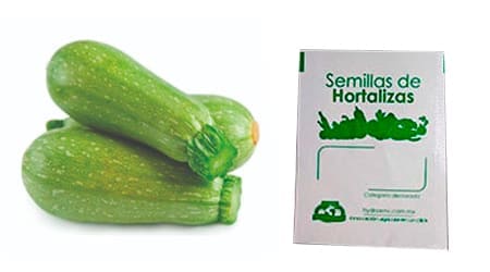 Gramo de Semilla de Calabaza Italiana (Calabacita) Var Grey Zucchini