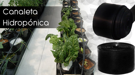 Canaleta Hidropónica
