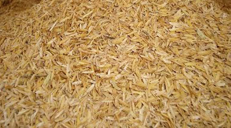 Cascarilla Arroz