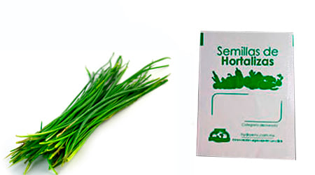 Gramo de Semilla de Cebollín