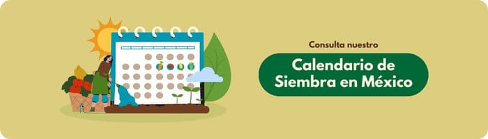 calendario de siembra
