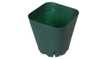 Maceta Cuadrada Rígida para Propagación – 6.5×6.5 cm