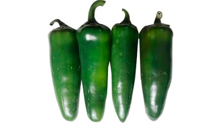 Sobre de 1000 Semillas de Chile Jalapeño Híbrido Xtremo F1