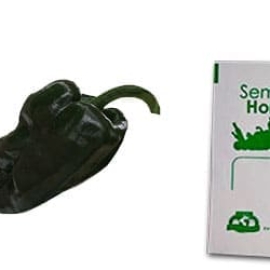 Gramo de Semilla de Chile Ancho Variedad San Luis