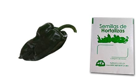 Gramo de Semilla de Chile Ancho Variedad San Luis