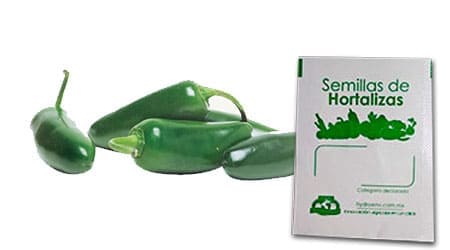Gramo de Semilla de Chile Jalapeño Variedad Jalapeño M