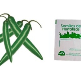 Gramo de Semilla de Chile Serrano Var Tampiqueño 74