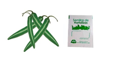 Gramo de Semilla de Chile Serrano Var Tampiqueño 74