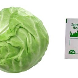 Gramo de Semilla de Col (Repollo) Var Copenhaguen Market