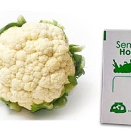 Gramo de Semilla de Coliflor Var Snow Ball