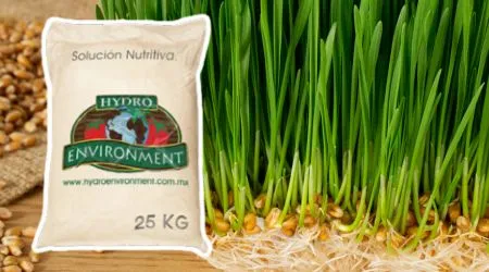 Solución Nutritiva para FVH en saco de 25 kg