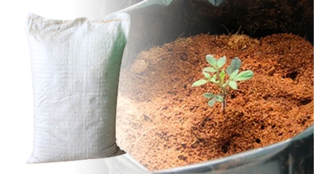 Costal de 50 litros de polvillo de coco para germinación
