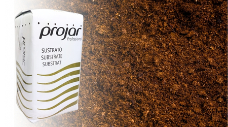 Paca de Peat Moss SEED PRO PROJAR de 250 litros