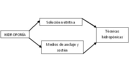 elementos hidroponia