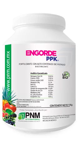 Nutriente foliar para engorde de frutos, Estimulante foliar para frutos, Bioactivador foliar de frutos, Estimulador de crecimiento foliar, Potenciador de frutos, Refuerzo de maduración foliar, Bioestimulante para cultivos, Promotor de engorde de frutos, Estimulante de calidad de frutos, Potenciador de frutas