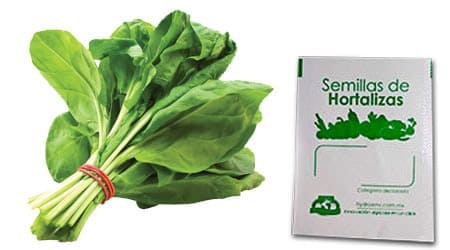 Gramo de Semilla de Espinaca Var Viroflay