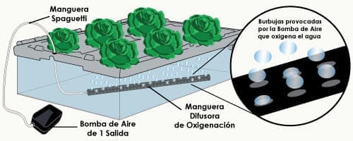 Partes del Paquete de Raí<