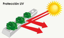 Protección UV