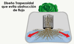 Obstrucción de Flujo