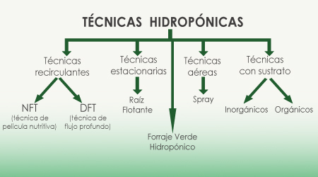 Esquema tecnicas hidroponícas