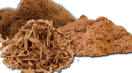 Fibra de Coco Chip Polvillo