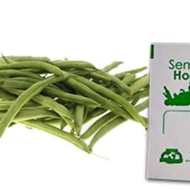 Gramo de Semilla de Frijol Ejotero Var Strike