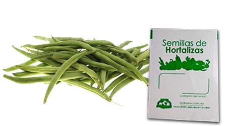 Gramo de Semilla de Frijol Ejotero Var Strike