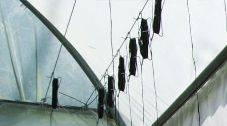 gancho agricola enrafiado para tutoreo