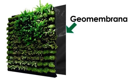 geo membrana para protección de humedad en muro verde o pared verde asi como azoteas verdes 