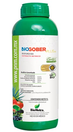 Antibacterial, antibacteria, antihongo, funguicida, fungistático, antifúngico, antimicótico, antibacterias, Germicida, Bifungicida