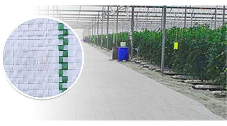 Malla Ground Cover Blanca por Rollo de 4×100 m