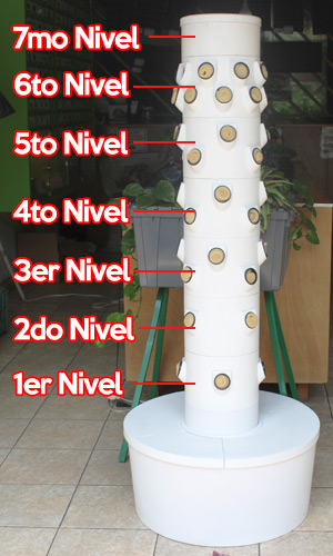 Horti Niveles