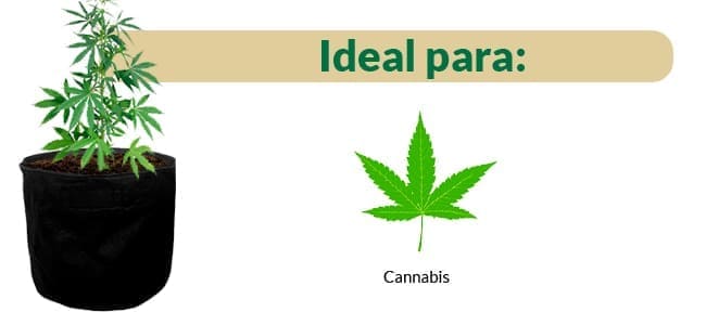 Macetas geotextil Macetas para cannabis Kit de macetas Macetas flexibles Macetas para cultivo Macetas para marihuana Macetas de tela Macetas de cultivo flexible Kit cultivo cannabis Macetas de geotextil Macetas para plantas Macetas para marihuana en tela