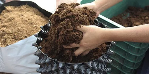 imagen_ilustrativa_maceta_poda_aire sirve para Cultivo de arándano casero
