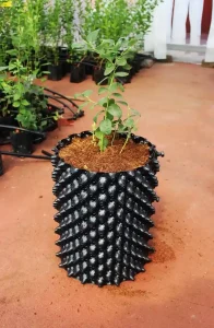 maceta lista air grower arándano sustratos hidropónicos 