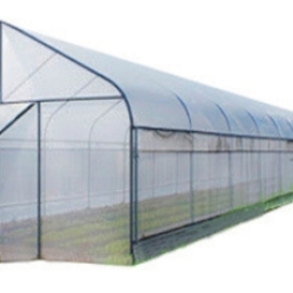Invernadero Mini Green 6 x 5 Metros (30 m²)