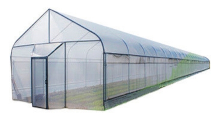 Invernadero Mini Green 6 x 5 Metros (30 m²)