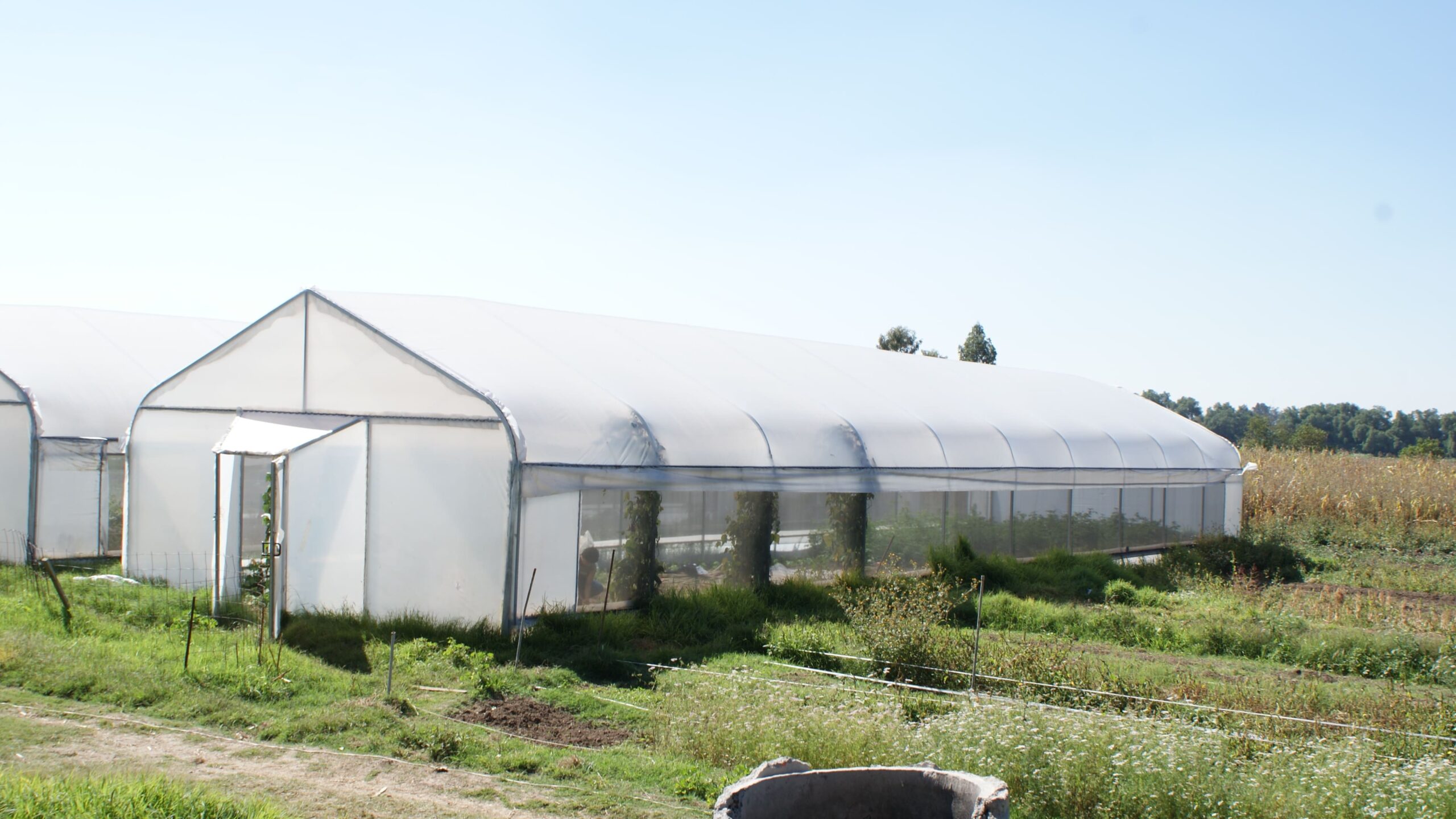 invernadero mini green para jardin utilizado en campo 