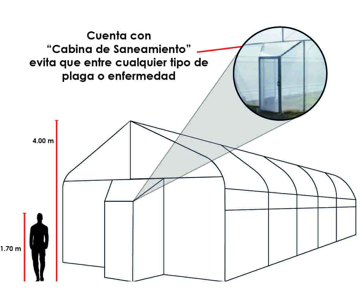 invernadero con cabina de saneamiento o area de limpieza mini green 