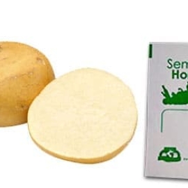 Gramo de Semilla de Jícama Var Agua Dulce