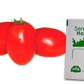 Gramo de Semilla de Jitomate Guaje Var Rio Fuego