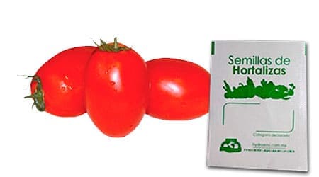 Gramo de Semilla de Jitomate Guaje Var Rio Fuego