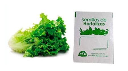 Gramo de Semilla de Lechuga Simpson