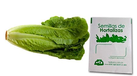 Gramo de Semilla de Lechuga Orejona o Romana Var Parrish Island
