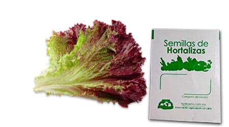Gramo de Semilla de Lechuga Red Salad Bowl