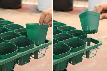 charola base o de transportación para macetas viveristas de floricultura y suculentas 