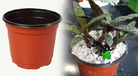 Maceta Terracota para Vivero de 7 Pulgadas Termoformada Flexible