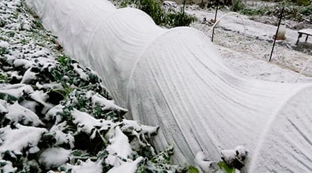 tela agrícola, malla protectora, tejido no tejido, tela antiheladas, filtro agrícola, tejido de polipropileno, malla de protección climática, red de protección agrícola, malla de cultivo, tela para invernadero, malla de microclima, tela de protección, malla agrícola antiheladas, tejido para cultivos, malla permeable, maya