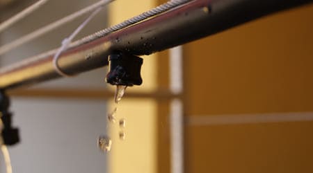 Metro de Manguera para Riego con nebulizadores conectados