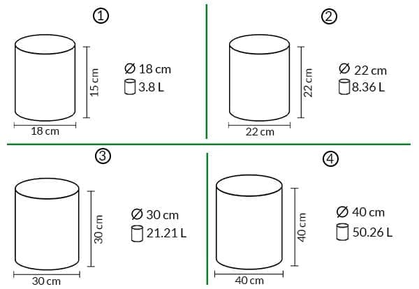 Diagrama bolsa cannabis